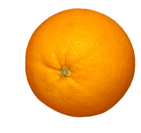 Orange - example of an item to search for