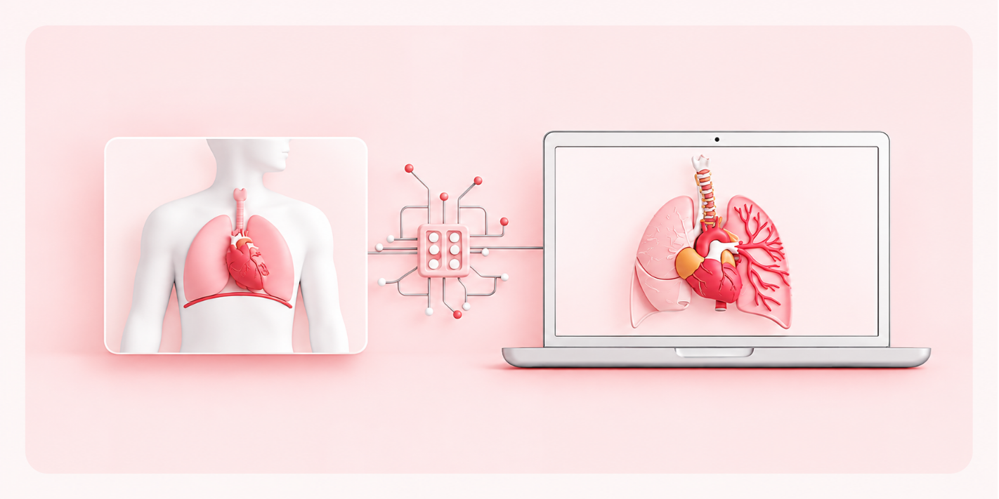 Medical Image Segmentation of Human Organs